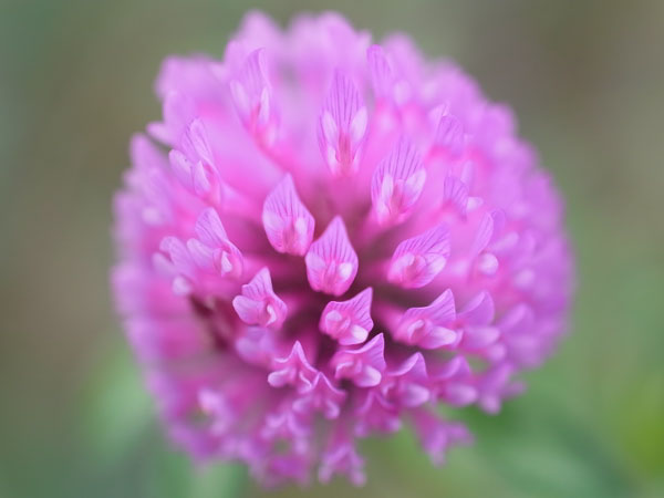 f:id:elmikamino:20100923110502j:image f:id:elmikamino:20100923110502j:image