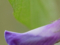 20100925123122