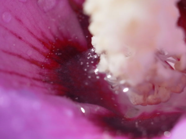f:id:elmikamino:20100926142221j:image