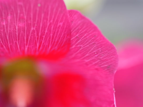 f:id:elmikamino:20100926142231j:image
