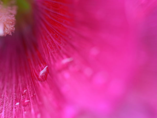 f:id:elmikamino:20100926142236j:image