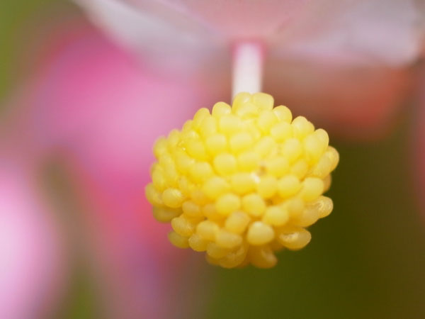 f:id:elmikamino:20100926142248j:image