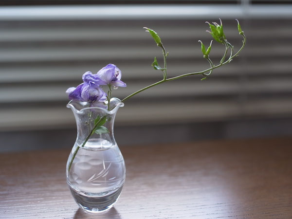 f:id:elmikamino:20100927121203j:image