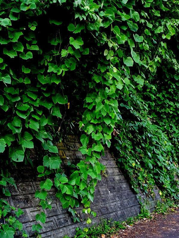 f:id:elmikamino:20100927123040j:image