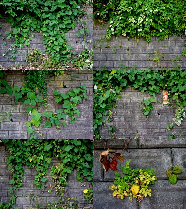 f:id:elmikamino:20100927123041j:image