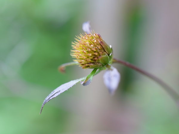 f:id:elmikamino:20100928130501j:image f:id:elmikamino:20100928130501j:image