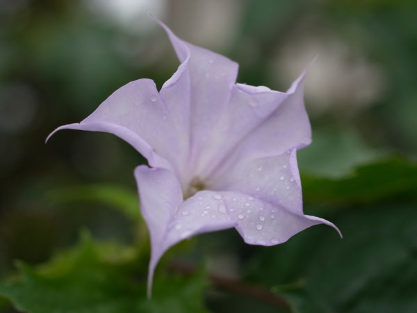 f:id:elmikamino:20101003113150j:image f:id:elmikamino:20101003113150j:image