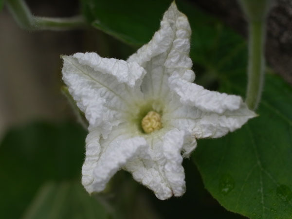 f:id:elmikamino:20101003113151j:image f:id:elmikamino:20101003113151j:image