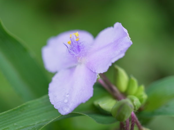 f:id:elmikamino:20101003113154j:image f:id:elmikamino:20101003113154j:image