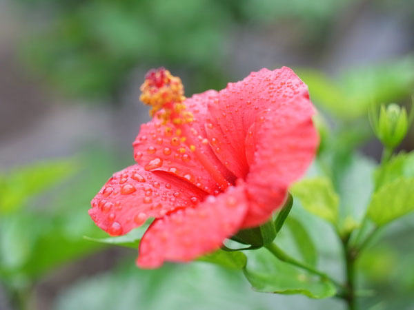 f:id:elmikamino:20101003113155j:image f:id:elmikamino:20101003113155j:image