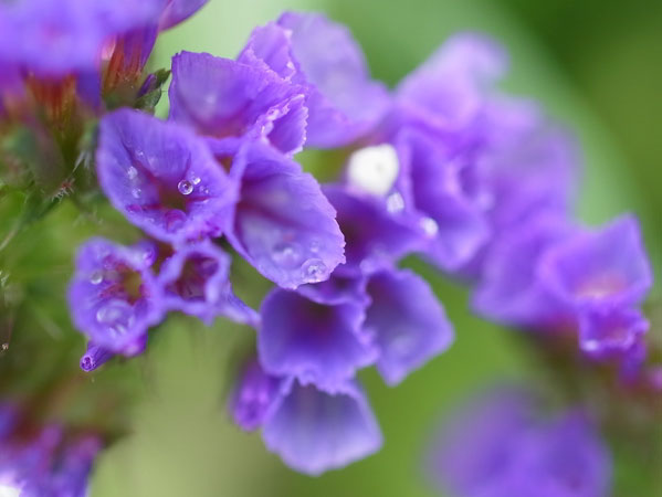 f:id:elmikamino:20101003113156j:image f:id:elmikamino:20101003113156j:image
