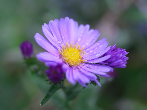 f:id:elmikamino:20101003113158j:image f:id:elmikamino:20101003113158j:image