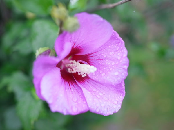 f:id:elmikamino:20101003113205j:image f:id:elmikamino:20101003113205j:image