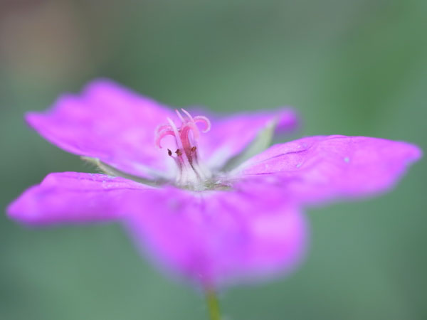 f:id:elmikamino:20101005150028j:image