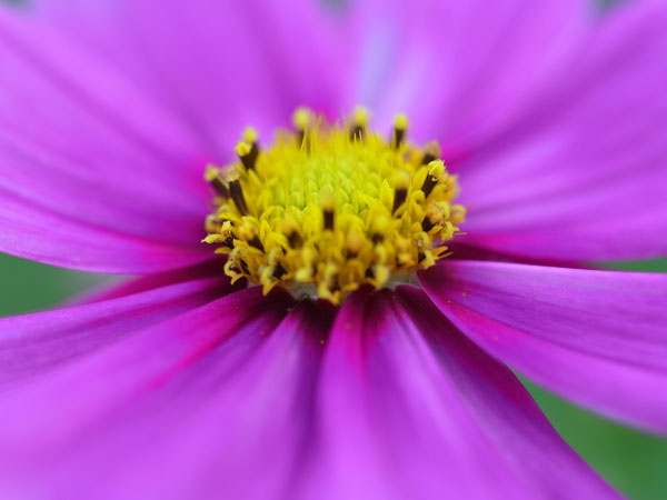 f:id:elmikamino:20101005150036j:image