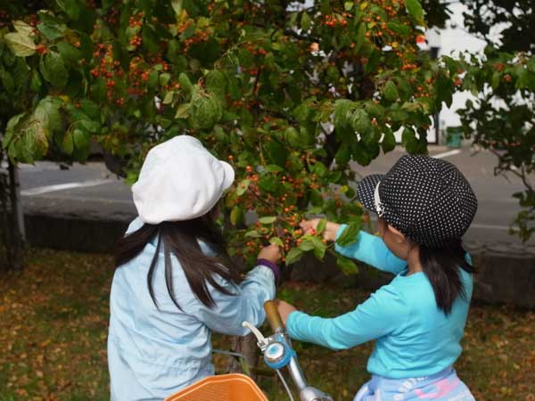 f:id:elmikamino:20101009110118j:image