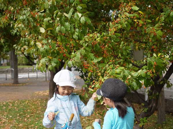 f:id:elmikamino:20101009110120j:image