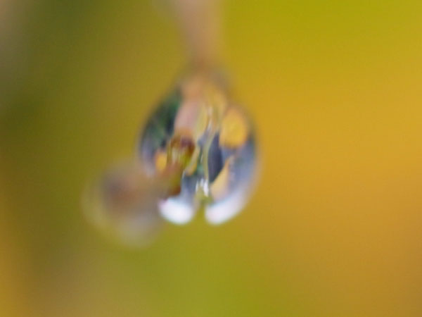 f:id:elmikamino:20101010122940j:image