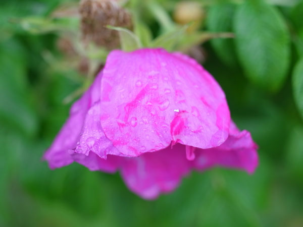 f:id:elmikamino:20101010122943j:image