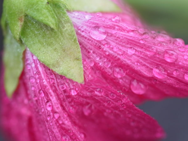 f:id:elmikamino:20101010122947j:image