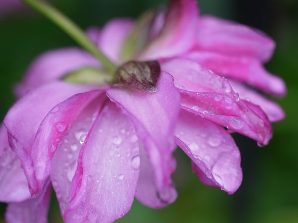 f:id:elmikamino:20101010122949j:image