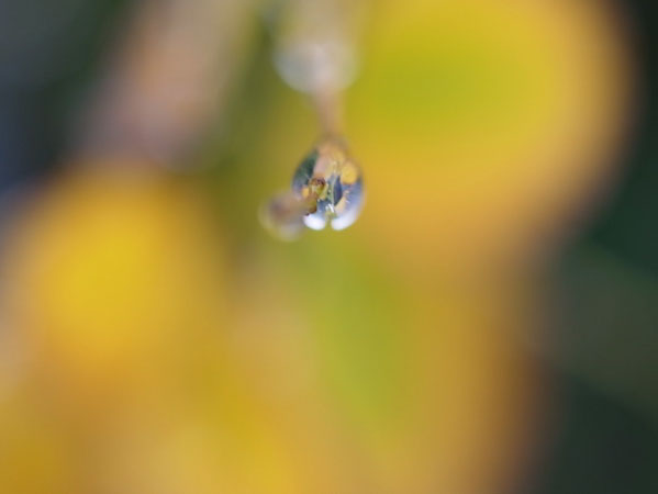 f:id:elmikamino:20101010122955j:image