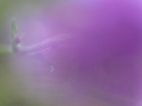 f:id:elmikamino:20101010123003j:image