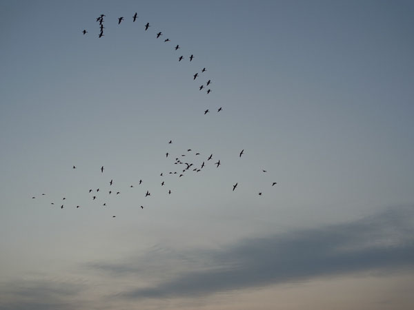 f:id:elmikamino:20101011170313j:image