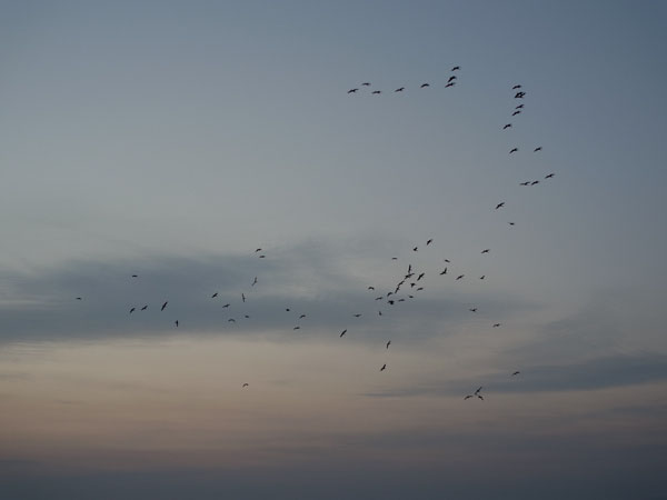 f:id:elmikamino:20101011170315j:image