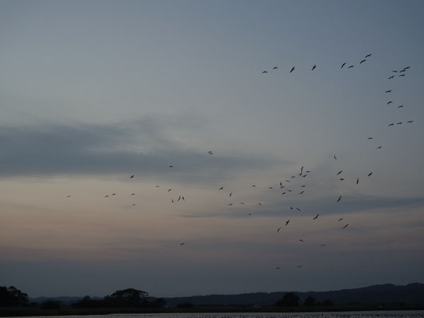 f:id:elmikamino:20101011170317j:image