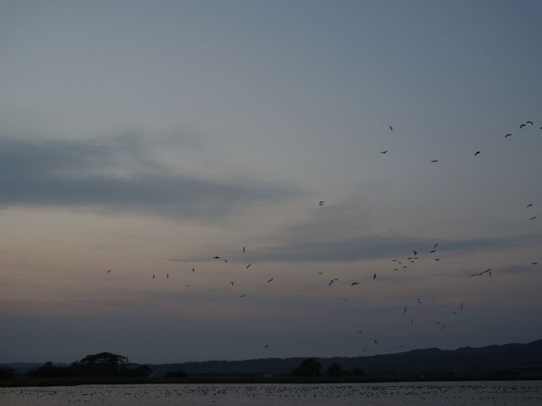 f:id:elmikamino:20101011170318j:image