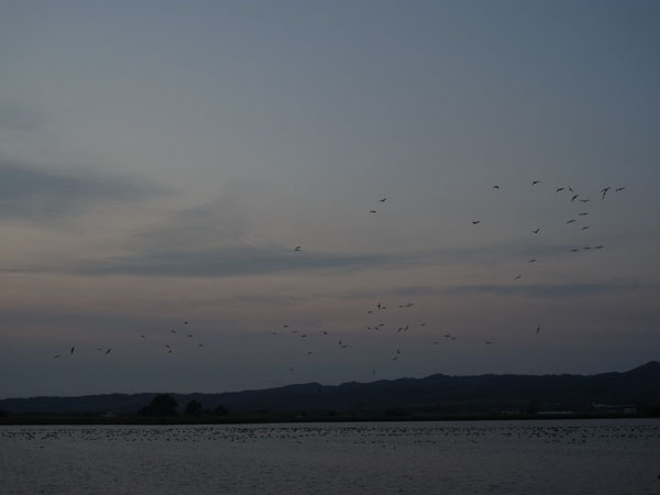 f:id:elmikamino:20101011170319j:image