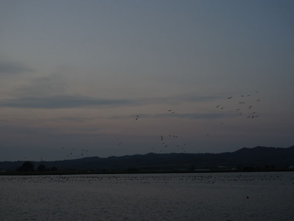 f:id:elmikamino:20101011170320j:image