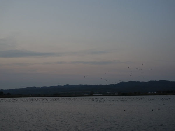 f:id:elmikamino:20101011170321j:image