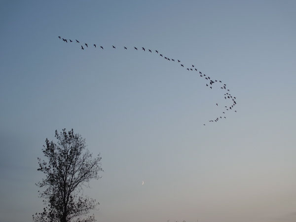 f:id:elmikamino:20101011230523j:image
