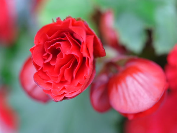 f:id:elmikamino:20101015101354j:image