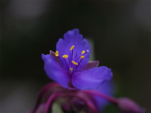 f:id:elmikamino:20101015101628j:image