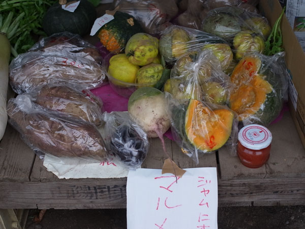 f:id:elmikamino:20101015103017j:image
