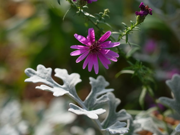 f:id:elmikamino:20101020103457j:image f:id:elmikamino:20101020103457j:image