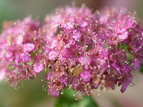 f:id:elmikamino:20101020103656j:image f:id:elmikamino:20101020103656j:image