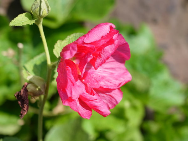 f:id:elmikamino:20101020104001j:image f:id:elmikamino:20101020104001j:image