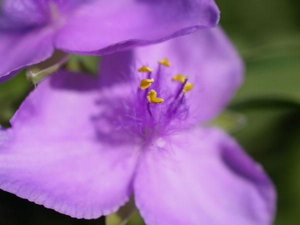 f:id:elmikamino:20101020104725j:image f:id:elmikamino:20101020104725j:image