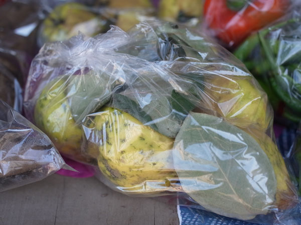 f:id:elmikamino:20101020105835j:image f:id:elmikamino:20101020105835j:image