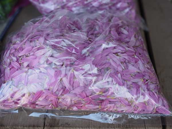 f:id:elmikamino:20101020105916j:image f:id:elmikamino:20101020105916j:image