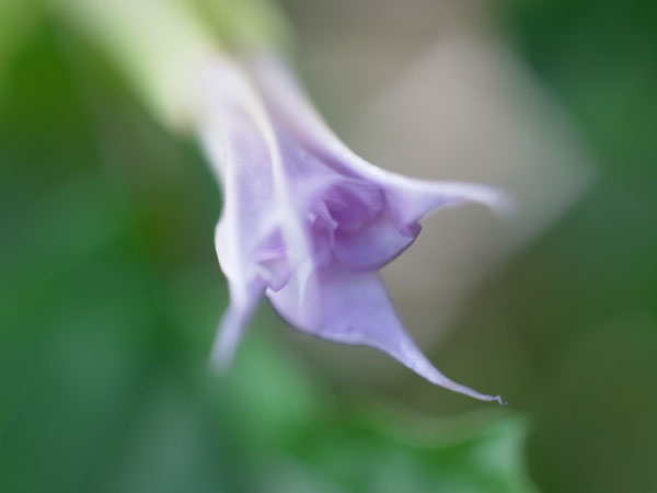 f:id:elmikamino:20101020110645j:image f:id:elmikamino:20101020110645j:image