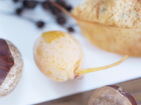 f:id:elmikamino:20101031120629j:image f:id:elmikamino:20101031120629j:image