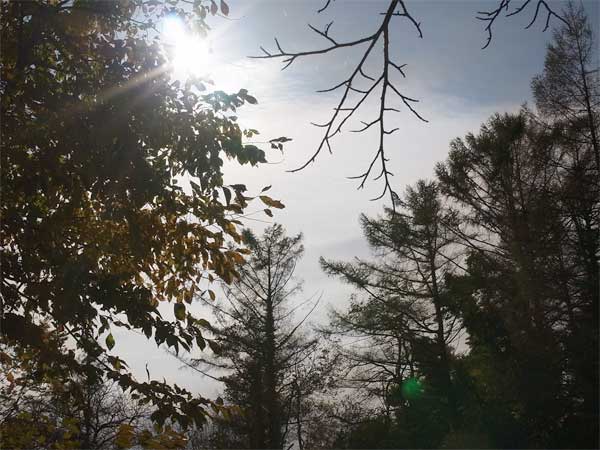 f:id:elmikamino:20101031120637j:image f:id:elmikamino:20101031120637j:image