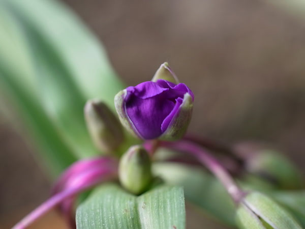 f:id:elmikamino:20101031120643j:image f:id:elmikamino:20101031120643j:image