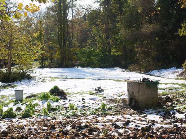 f:id:elmikamino:20101031120644j:image f:id:elmikamino:20101031120644j:image