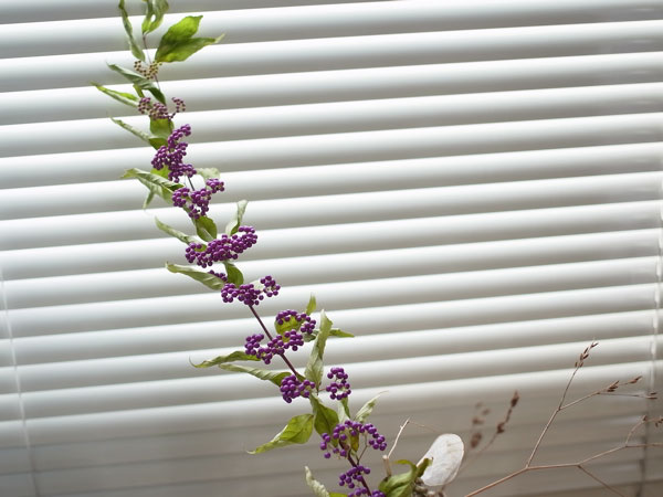 f:id:elmikamino:20101031120652j:image f:id:elmikamino:20101031120652j:image